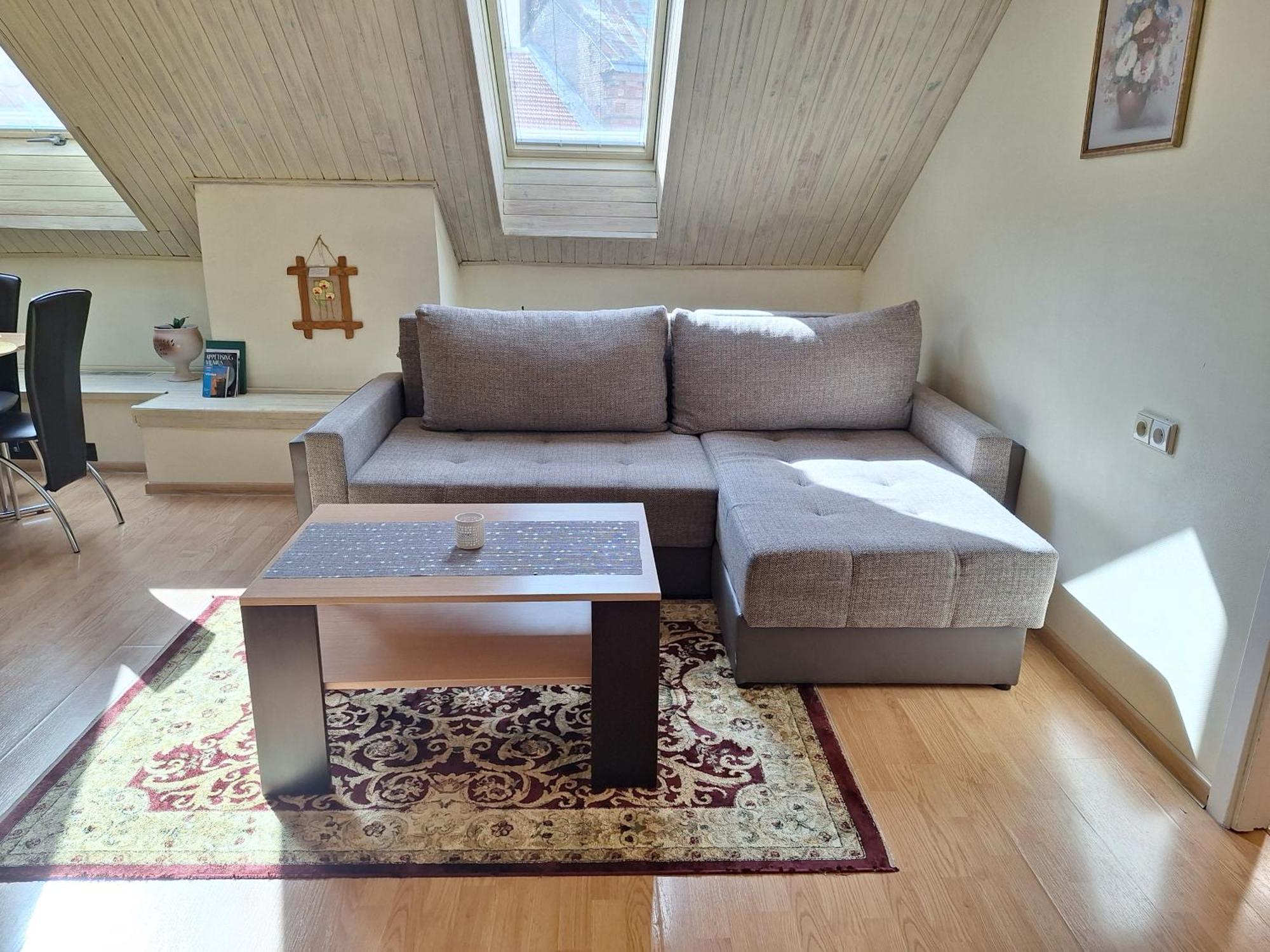 Vidos Apartamentai Butas Vilnius